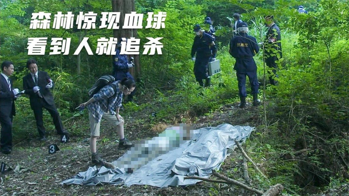 【穷电影】森林惊现脱水干尸，死者生前曾被血球追杀，真相却令人动容