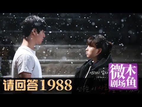 【木鱼微剧场】最好的韩剧《请回答1988》初雪之夜的爱恋（P6）