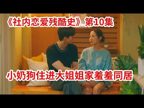 【脑弟】奶狗住进大姐姐家！不结婚还疯狂撩！大姐姐急了！爱情剧《气象厅的人们：社内恋爱残酷史》第10集！