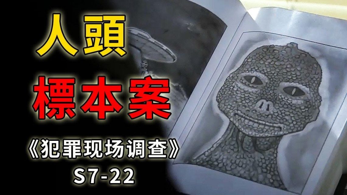 被洗腦有多可怕，竟將無辜女子殺害餵豬，頭顱製成標本《C.S.I.–Crime Scene Investigation 》