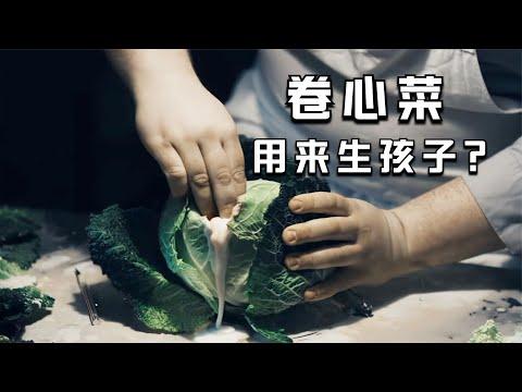 【穷电影】未来卷心菜不是用来吃的，而是用来生孩子，切开后里面就有婴儿