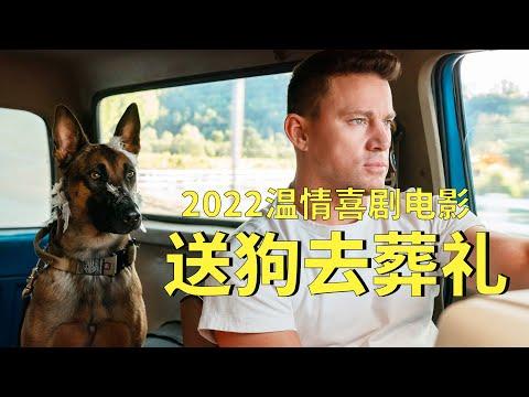 【牛叔】狂暴军犬见人就咬，退役兵王扛起来就走《忠犬》最终凑成一对！