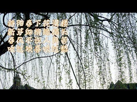 斜阳春下花满楼，新芽细柳绿梢头，春风不识人间苦，吹过欢喜吹过愁