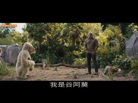 #753【谷阿莫】5分鐘看完2018做非法性研究的電影《毀滅大作戰 Rampage》