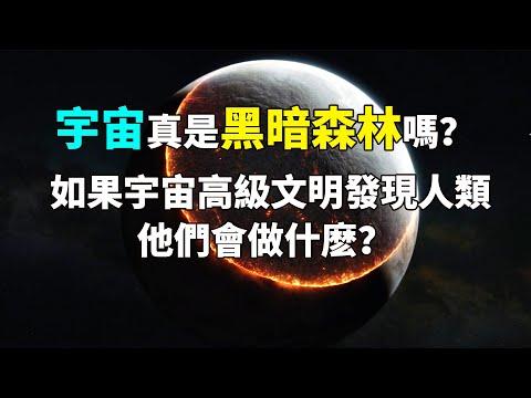 宇宙真是黑暗森林狀態嗎？如果高級文明發現人類，他們會做什麽？