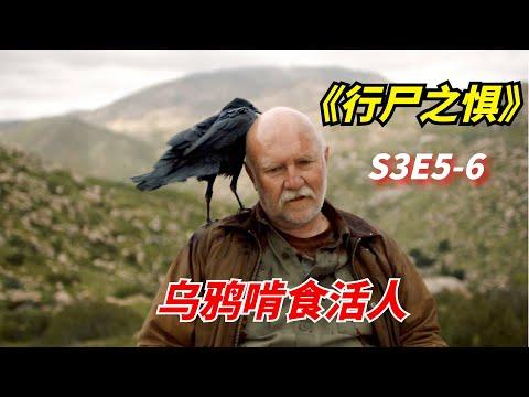 【阿奇】丧尸末日下，乌鸦在活人身上寻找食物/末日惊悚片《行尸之惧》S3E5-6