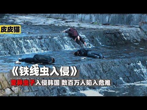 《铁线虫入侵》变异虫子入侵人类,韩国遭遇最大灾难