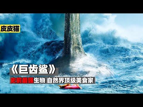 史前海洋霸主,自然界顶级美食家,《巨齿鲨》