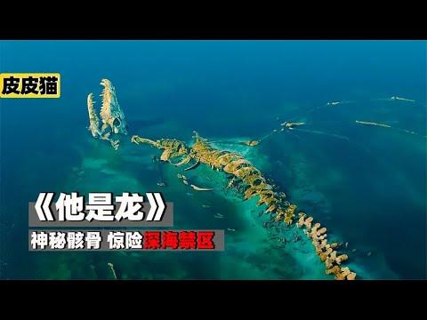 神秘巨龙骸骨,惊现深海禁区,《他是龙》