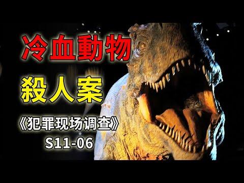 男尸身上留下巨大牙印，凶手竟是史前巨兽？《C.S.I.–Crime Scene Investigation 》