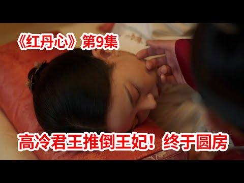 【脑弟】高冷君王按奈不住！终于推倒王妃首次圆房！宫廷剧《红丹心》第9集！李准、姜汉娜、张赫主演