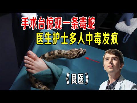 手术台惊现一条毒蛇，医生护士多人中毒发疯，天才肖恩放大招《良医》