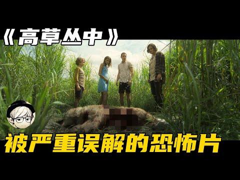 因很多人没看懂，被骂得体无完肤的恐怖片，是时候给它平反了【宇哥讲电影】