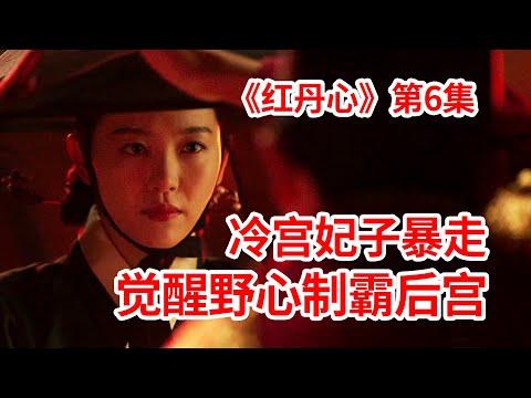 【脑弟】冷宫妃子为了征服帅国王！野心滔天制霸后宫！宫廷剧《红丹心》第6集！李准、姜汉娜、张赫主演