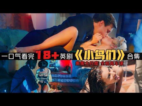 18+英劇！黄B血X集大成！著名大尺度小H书改编！一口气看完《小鸟们/Little Birds》合集！歐美電視劇推薦—剧集地影視講解