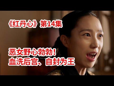 【脑弟】恶女为了做女王！围攻国王、血洗后宫黑化成魔！宫斗剧《红丹心》第14集！李准、姜汉娜、张赫主演