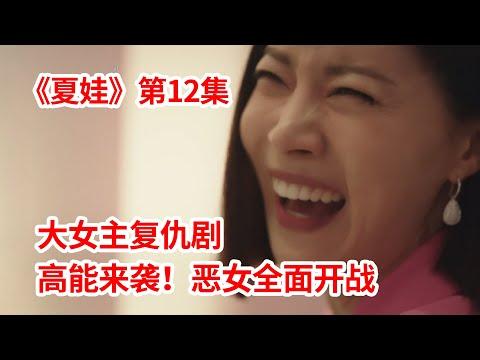 【脑弟】小三女主身份曝光！恶女全面开战！狗血复仇剧《夏娃》第12集！徐睿知主演