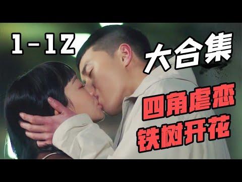 大女主爽剧？明明是男主后宫剧！一口气看完《梨泰院Class》1-12集【小片片说大片】