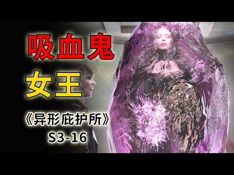 千年古墓驚現紫色水晶棺，沉睡千年的吸血鬼女王重見天日《異形庇護所》