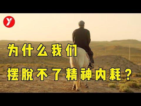 【越哥】年度佳作，净化心灵的好电影，为什么我们摆脱不了精神内耗？