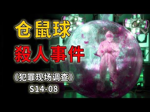 人形倉鼠玩遊戲，血濺社區慌人心，小眾遊戲玩出了大命案《C.S.I.–Crime Scene Investigation 》