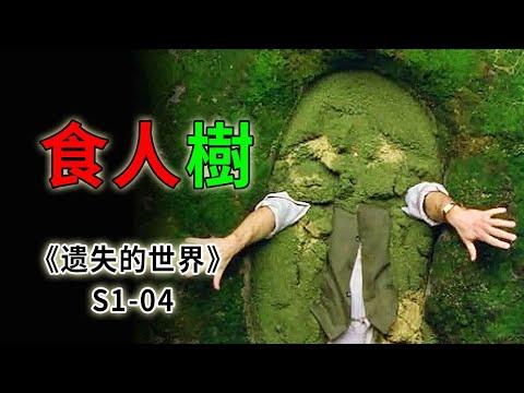 靠吃人壽命結果的邪樹，吃下它的果子就能永葆青春《遺失的世界》