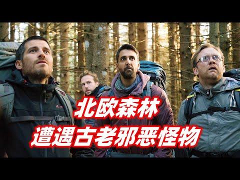 四人小队误入北欧森林，遭遇比丧尸还恐怖的邪恶怪物，惨遭疯狂杀戮！小众恐怖片《黑森灵》【电影迷小雅】