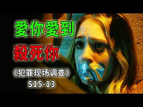 瘋狂雙胞胎只愛金髮美金，愛而不得，強取豪奪《C.S.I.–Crime Scene Investigation 》