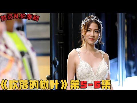 禁忌恋泰剧！儿子成超性感美女明星，渣爹、姑父为她争风吃醋！《吹落的树叶》第5-6集！韓劇推薦|劇集地影視解說