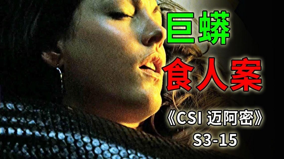 女人被巨蟒活活吞食，一人一蛇同歸於盡，雙雙殞命《C.S.I-Miami》