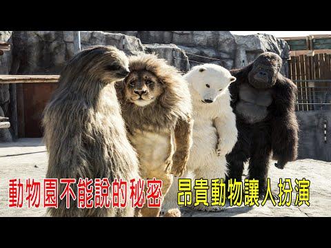 動物園不能説的秘密，昂貴動物讓人扮演，北極熊獅子等，根本看不出來！