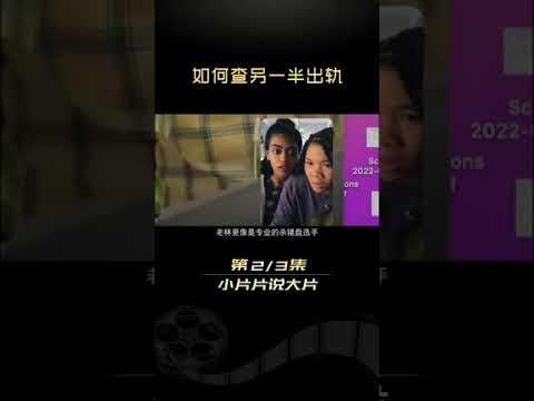 小成本大口碑！今年必看悬疑佳作！中 _网络谜踪2 #小片片说大片