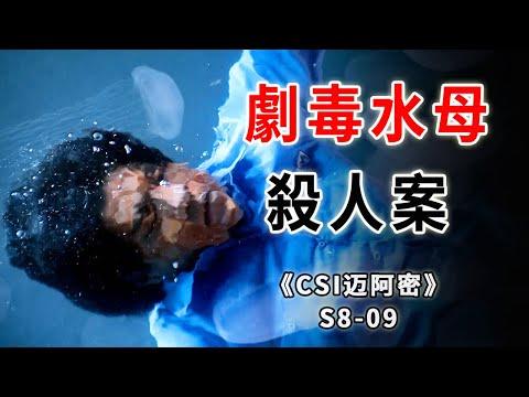 清潔工掉入劇毒水母池，被蜇一百多下，在劇痛中心臟停擺《C.S.I-Miami》