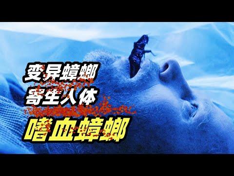 恐怖蟑螂在人体中疯狂产卵，宿主只能痛苦死去！密恐慎点，重口味恐怖片《嗜血蟑螂》