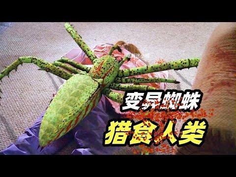 变异大蜘蛛血洗实验室，人类都成了它们的口粮！恐怖片《冰冻蜘蛛》