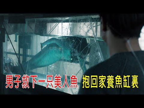 男子救下一只美人魚，抱回家養魚缸裏，人魚化身美女報恩！