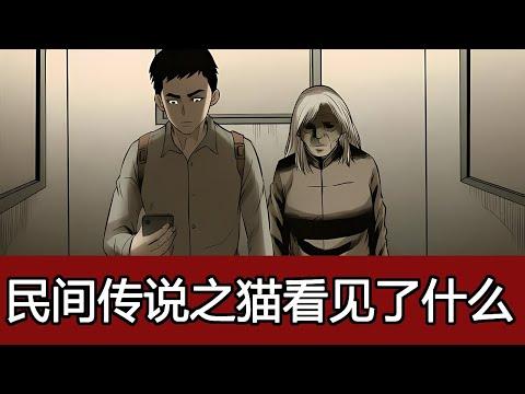 小濤講奇聞奇事：貓真的擁有“陰陽眼”嗎？