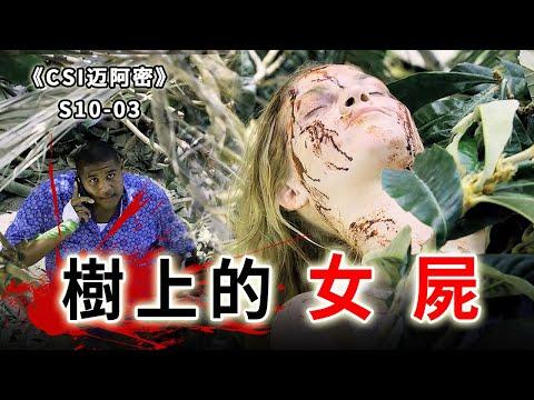 被颶風掩蓋的罪惡，慘死的年輕女孩，重傷的無辜男子《C.S.I-Miami》