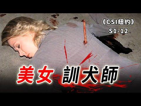 身材好，打扮漂亮也有錯嗎？美女訓犬師慘遭鋼針貫穿《C.S.I-NY》