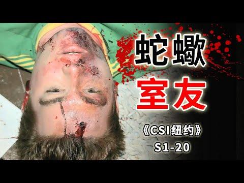 窮學生勤工儉學被折磨致死，合租房子一定要擦亮眼睛《C.S.I-NY》