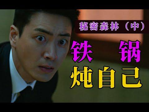 剧TOP：铁锅炖自己？豆瓣9.3高分韩剧《秘密森林》（中）