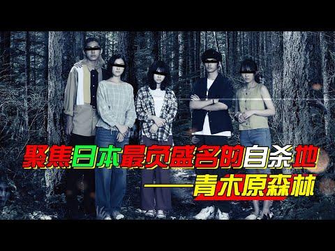 胆小者看的恐怖电影解说：几分钟带你看完日本恐怖电影《树海村》