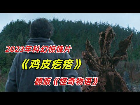 【阿奇】海边小镇怪事频发，灵异事件层出不穷/2023年科幻惊悚剧《鸡皮疙瘩》