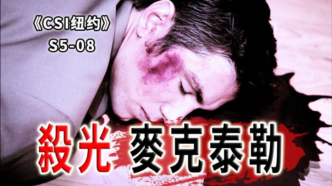 連環殺手全城屠殺「麥克泰勒」，恰好男主也叫「麥克泰勒」《C.S.I-NY》