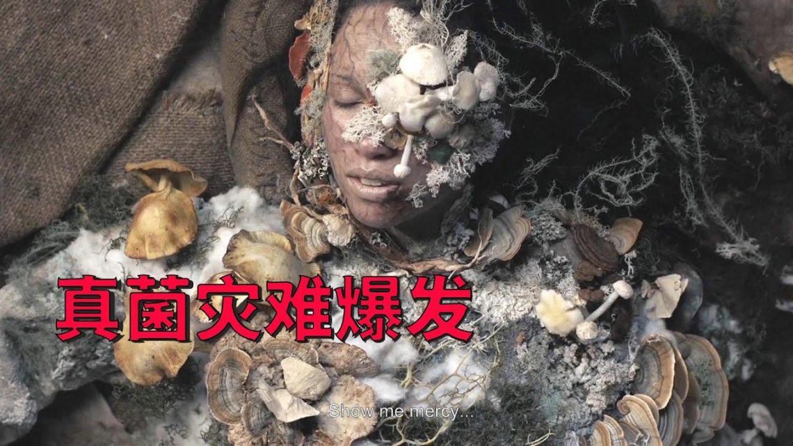 【牛叔】远古真菌苏醒，人类纷纷身体变异成为怪物，而且没有解药！