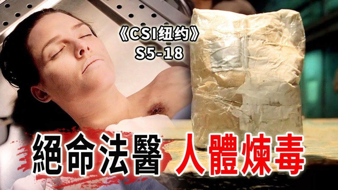 專業的就是不一樣，法醫用人體器官煉毒，純度堪比絕命毒師《C.S.I-NY》