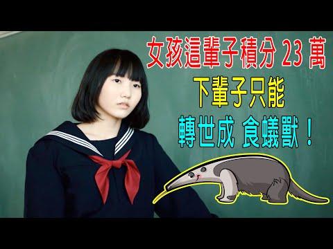 女孩這輩子積分只有230000，下輩子只能轉世成食蟻獸！