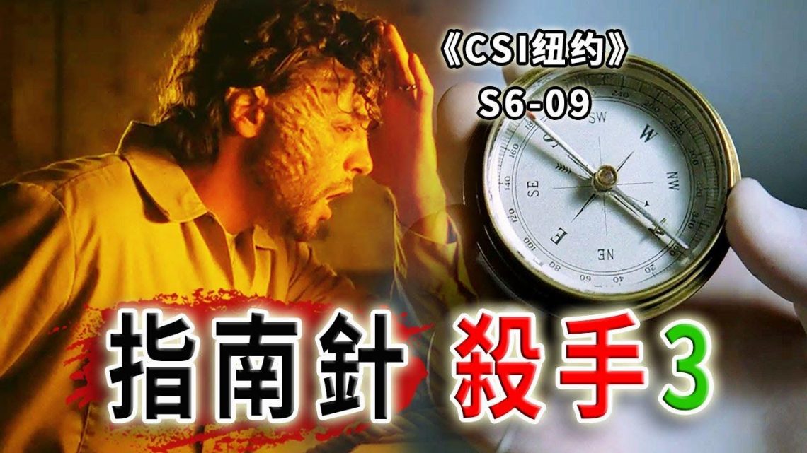 精神病患連殺三人，動機奇葩又無奈，好好的人生就這麼毀了《C.S.I-NY》