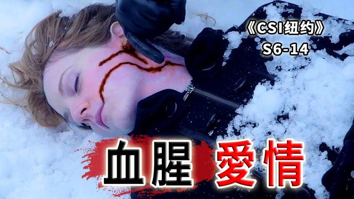 血與雪的交融，慘死雪夜的女孩.奇葩的信仰，艱難的愛情《C.S.I-NY》