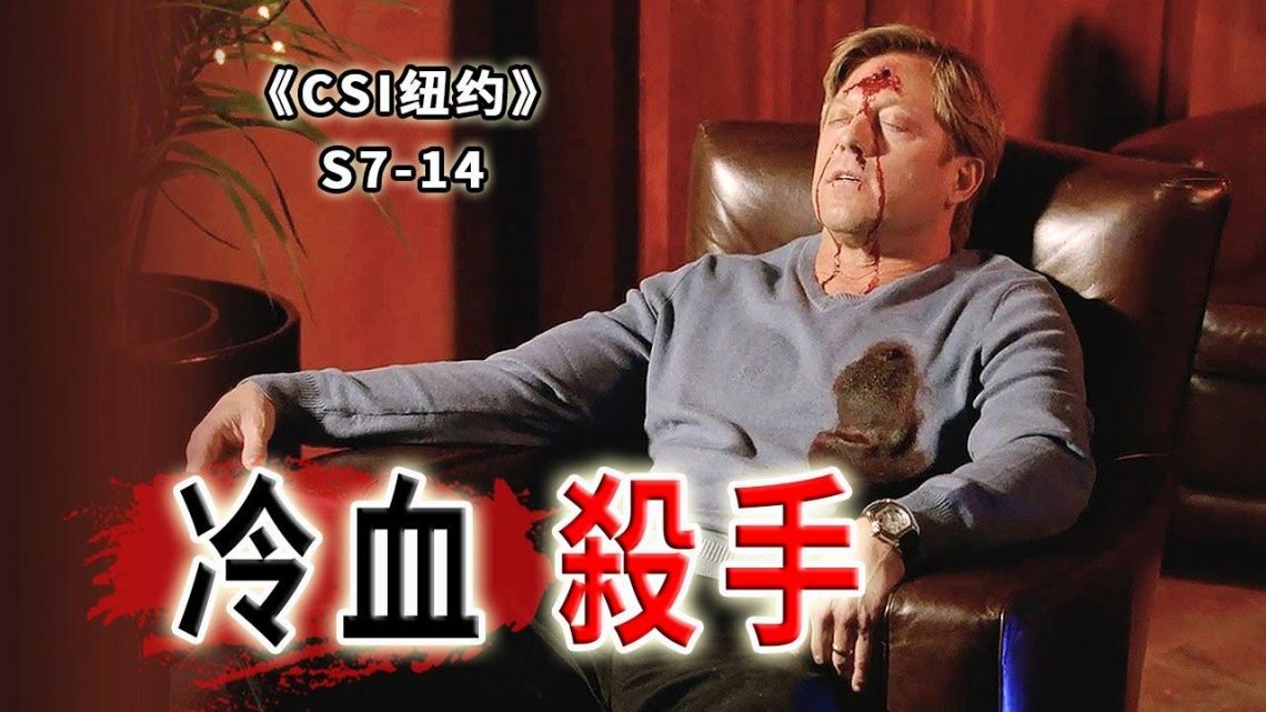 優雅與冷酷並存，兇狠殘忍，又溫柔至死的冷血殺手《C.S.I-NY》